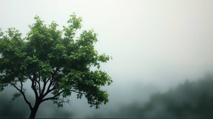 Obraz premium Nature's Resilience in the Urban Jungle