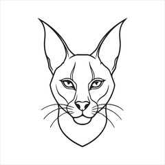 Caracal in the Wild - Graceful and Elusive Predator