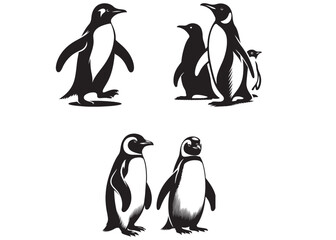 Penguin logo silhouette vector illustration, penguin logo vector, penguin vector logo icon design, collection of black penguin icons isolated on white background © Adobe design