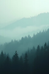 Fototapeta premium Panoramic view of a misty mountain landscape enveloped in morning fog, with a fir forest stretching into the distance. A fleeting, ethereal atmosphere fills the mist-shrouded woods, evoking a vintage 