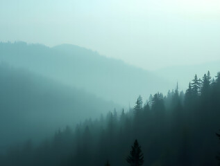 Naklejka premium Panoramic view of a misty mountain landscape enveloped in morning fog, with a fir forest stretching into the distance. A fleeting, ethereal atmosphere fills the mist-shrouded woods, evoking a vintage 