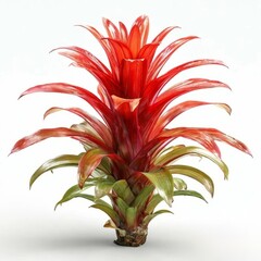 realistic beautiful pineapple on white background
