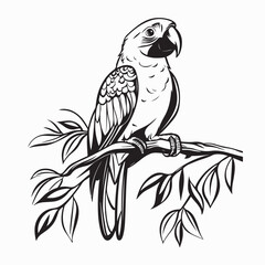 Cute Macaw perched on a branch image vector isolated on white background.