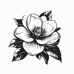 Magnolia flower Image vector. Elegant black and white illustration of a magnolia flower with detailed petals and leaves