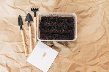 Kraft paper background, fertile soil and garden tools on top, top view. Planting seedlings in spring