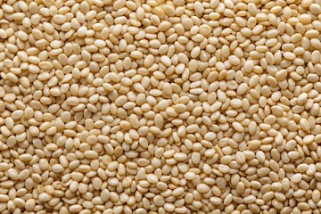Fototapeta premium Dry Organic White Sesame Seeds Background Texture - Culinary Food Photography
