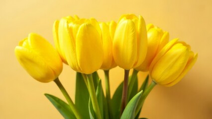 Bouquet of yellow tulips on a yellow background.
