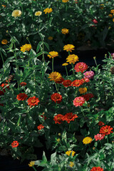 Naklejka premium background, 