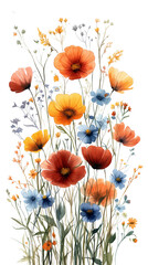 Watercolor Wildflowers: A delicate bouquet of wildflowers in vibrant shades of orange, red, and blue, painted in a watercolor style. Perfect for adding a touch of nature to your designs.
