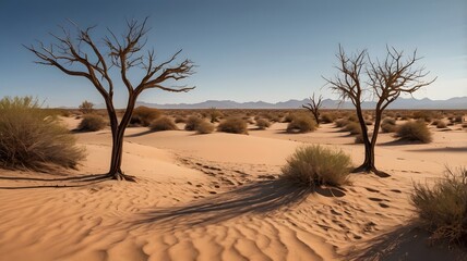Serene Desert Landscape with Sand Dunes and Trees