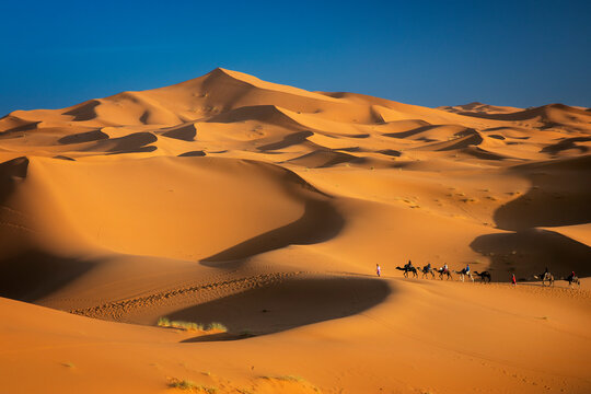 Merzouga, Marokko, Erg Chebbi, Sahara, Wueste mit Karavane 