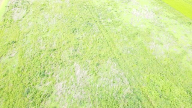 green field in the center of France