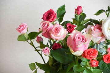 カラフルな薔薇