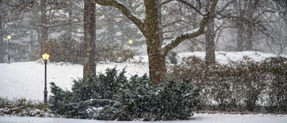 Central Park in winter , during snow storm