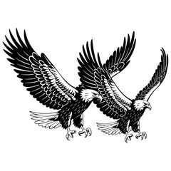 Obraz premium eagle spread wing black color vector 