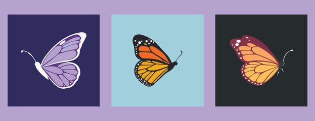 Butterfly, clip, art, Set of three  butterflies insect, fly, three, realistic