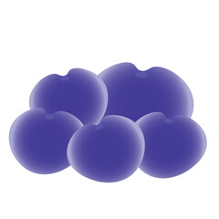 Plum 