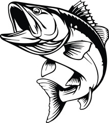 Fish Illustration Vector