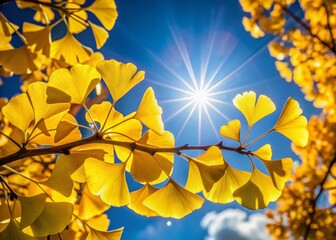 Golden Ginkgo Leaves on Branch, Sunny Autumn Day - Low Light Photography Stock Photo