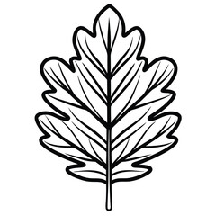 a black and white line drawing of an oak leaf