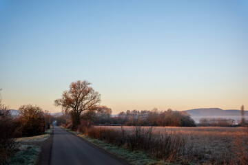 frozen landscape