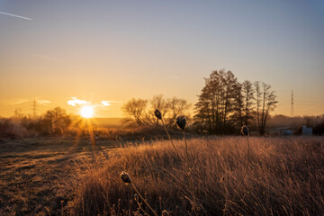 sunrise in the field