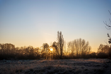 sunrise in the field