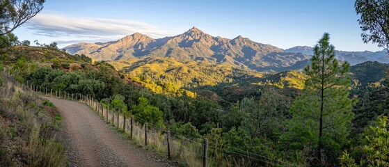 Majestic Mountain Road Scenic Dirt Path Sunlit Peaks Nature Landscape