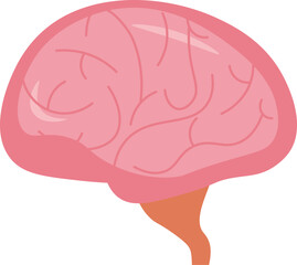 Human brain vector design.
