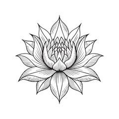Intricate Black and White Lotus Flower Drawing with Leaves and Floral Details for floral mandala. Geometric ornamental mandalas