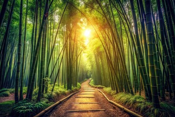 Fototapeta premium Vintage Brazil Bamboo Forest Photography: Lush Green Canopies, Sunlit Paths, Ancient Trees