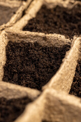 cardboard cups for seedlings with fertile soil