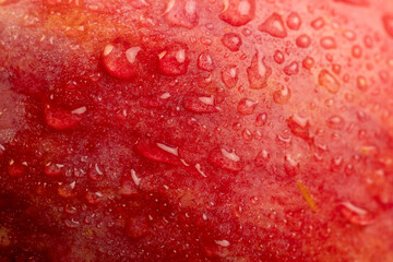 fresh crunchy apple with red and green peel