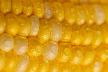 peeled corn cob with yellow and white seeds of different sizes and shades