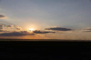 A rural field with green grass and other vegetation at sunset