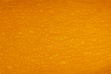 the tough orange peel of a ripe pumpkin