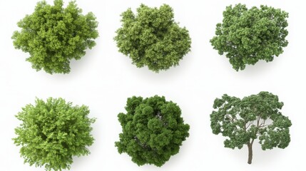 Obraz premium Aerial View of Lush Green Trees - Nature, environment, foliage, greenery, ecology. Diverse treetop views.