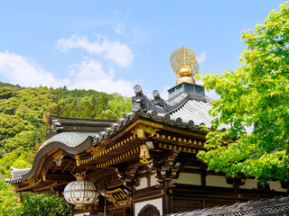 【奈良県】大和郡山市 矢田寺(金剛山寺) (2024/04/17撮影)