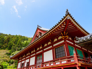 Fototapeta premium 【奈良県】大和郡山市 矢田寺(金剛山寺) (2024/04/17撮影)