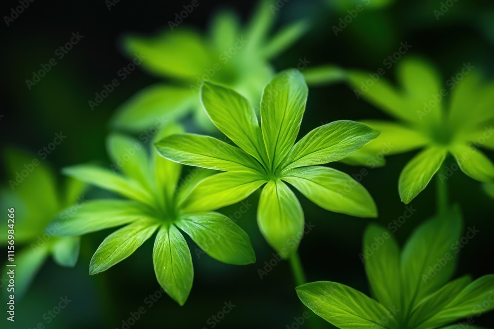Poster close-up of vibrant green leaves with intricate details, illuminated against a dark background.
