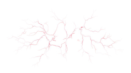 abstract white network resembling neural connections on a plain background