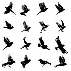 Obraz premium Bird icon set, black and white sparrow symbols, bird sign collection, wild animal pictograms on white