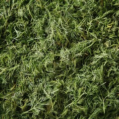 Dry dill pile texture background. Dried fennel pattern, crushed seasoning, dill weed powder