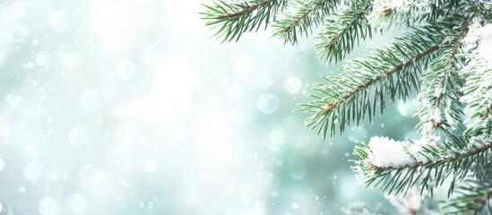 Obraz premium Winter fir branches adorned with snowflakes and soft bokeh background ideal for seasonal themes and text overlays in marketing materials