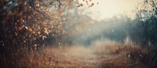 Soft vintage bokeh background with gentle colors fostering a dreamy atmosphere ideal for photography and creative design projects