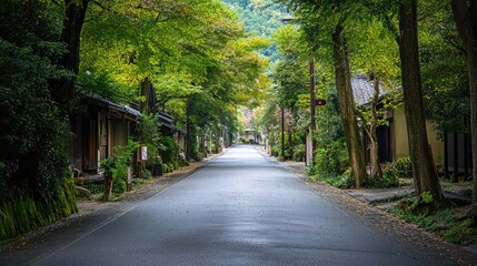 Fototapeta premium Serene village road lined with lush greenery creating a peaceful and picturesque atmosphere in a rural setting.