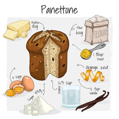 Panettone Pastry Illustration Recipe Dessert with Ingredients