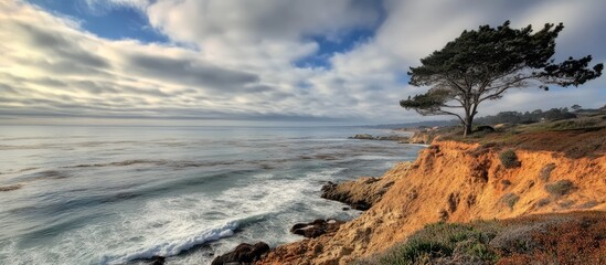 Scenic coastal view from a cliff overlooking the ocean with dramatic clouds and a lone tree on the edge of the shoreline.