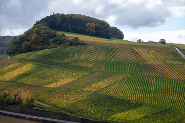 Obraz premium Panoramic view of terraced vineyards around Nittel, Rhineland-Palatinate, Germany and views across Moselle River on vineyard hills of Luxembourg near Grevenmacher