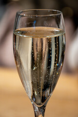 Tasting sparkling white wine, traditional champagne method making of cremant in caves on Moselle river valley in Luxembourg, wine tour and visiting caves